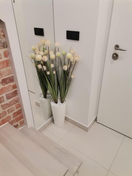 Studio Apartman Lenox Rijeka Exterior foto